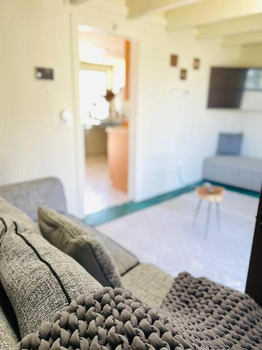 Quaint Historic Cottage In Downtown Phoenix Extérieur photo